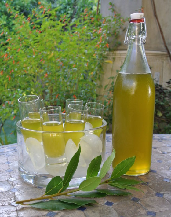 It's green!! - Liquore Alloro (Bay Leaf Liqueur) - Our Italian Table