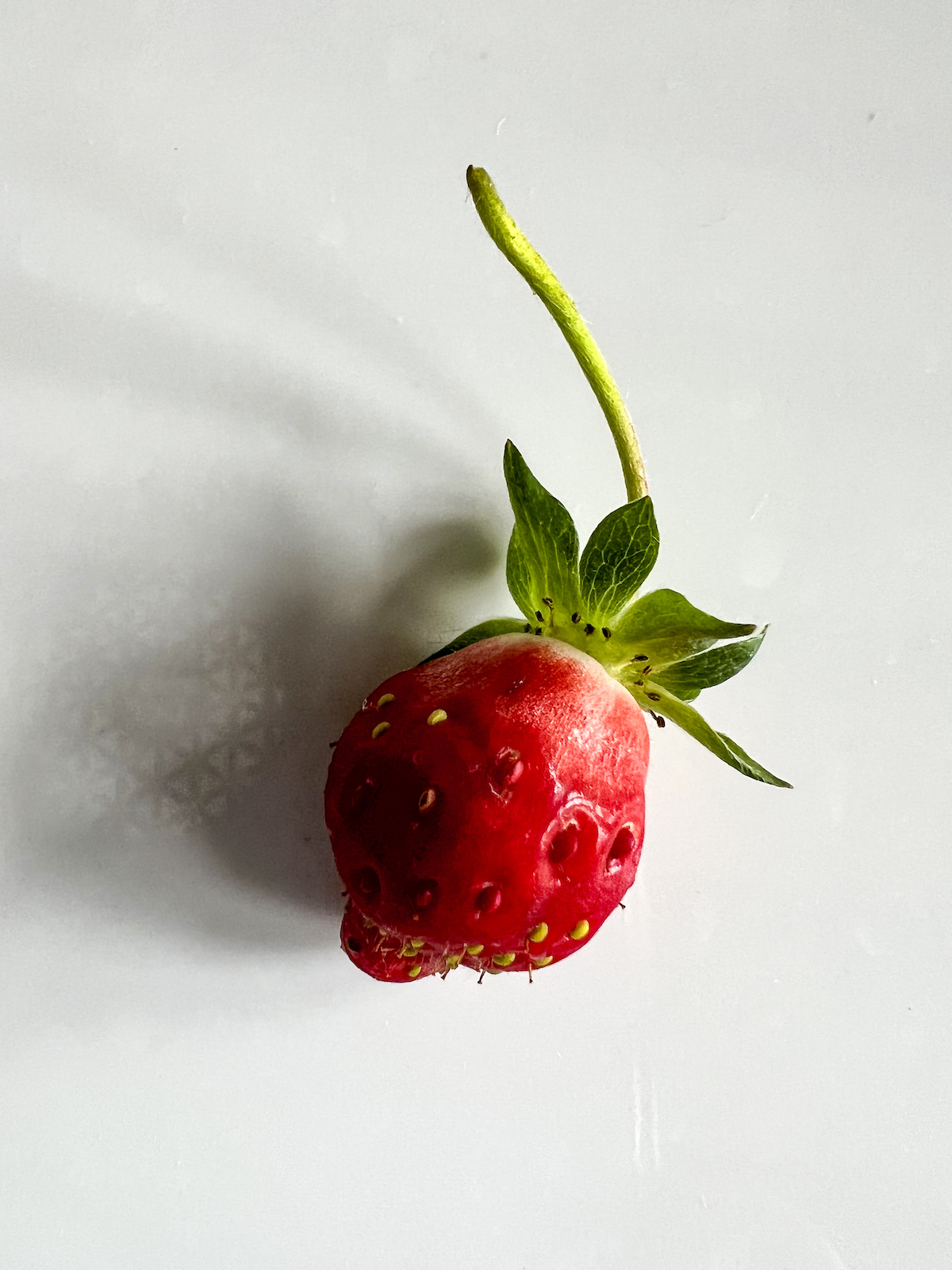 Strawberry Crostata | OurItalianTable.com
