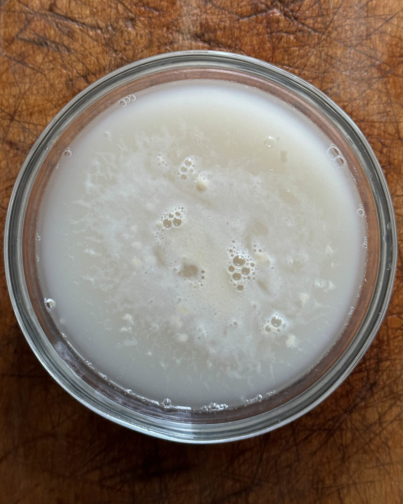 Yeast proofing in bowl | OurItalianTable.com