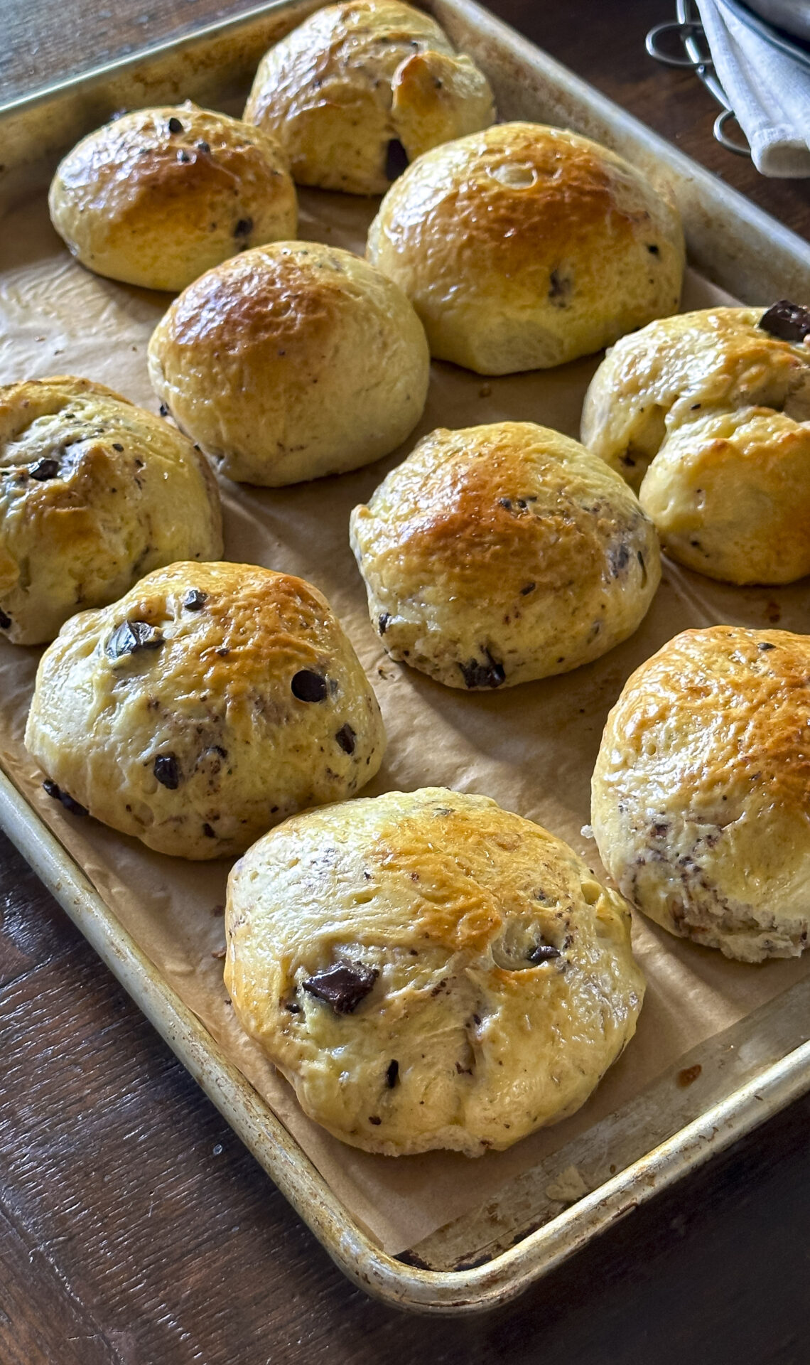 Chocolate sweet buns: Pangoccioli | OurItalianTable.com