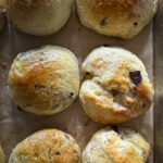 Chocolate sweet buns: Pangoccioli | OurItalianTable.com