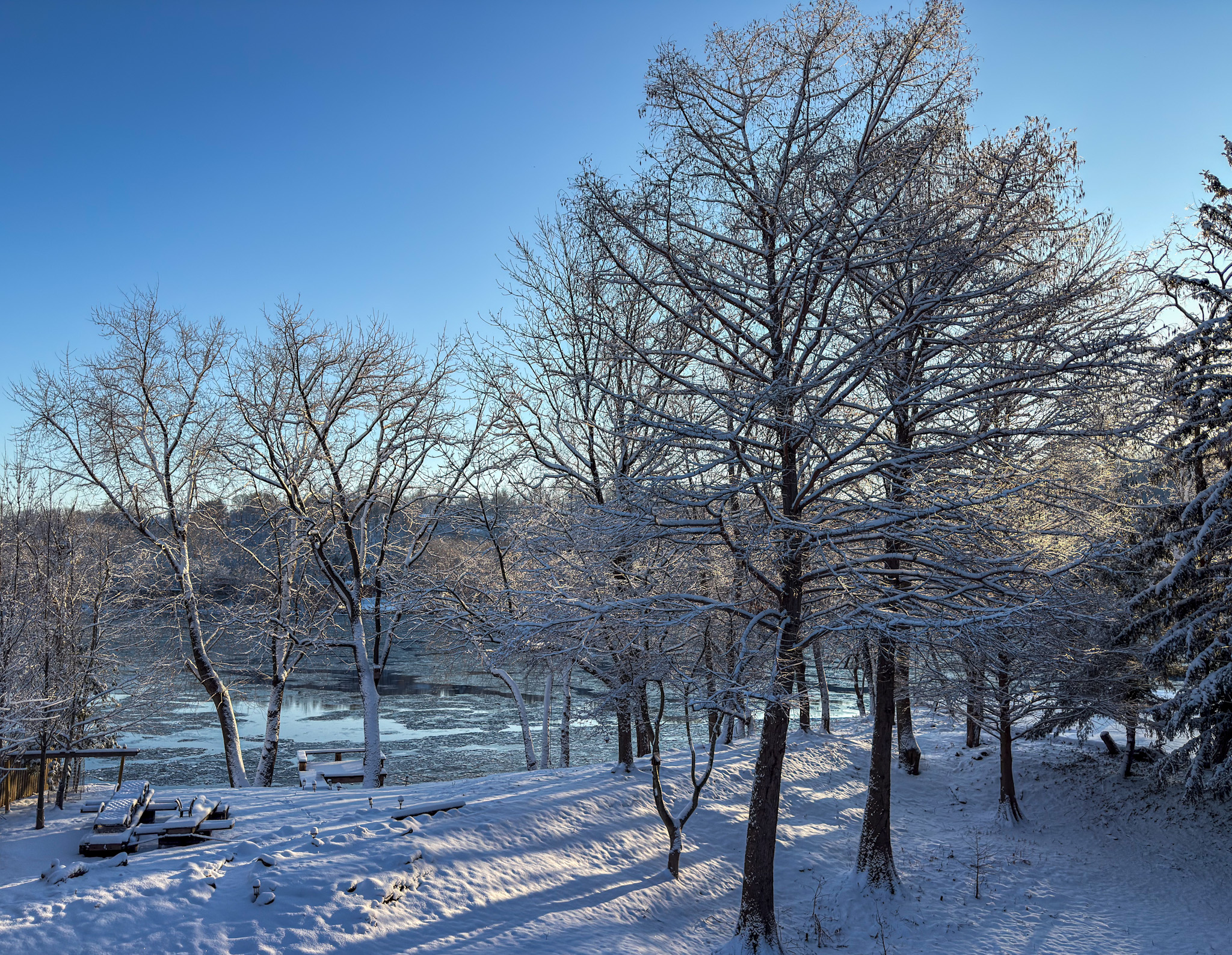 Winter from the window