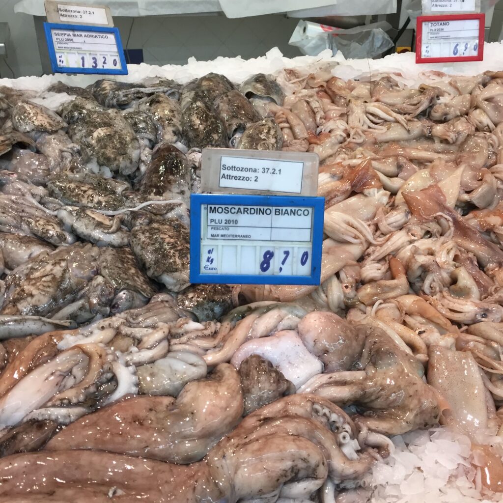 seafood counter in Senigallia Italy