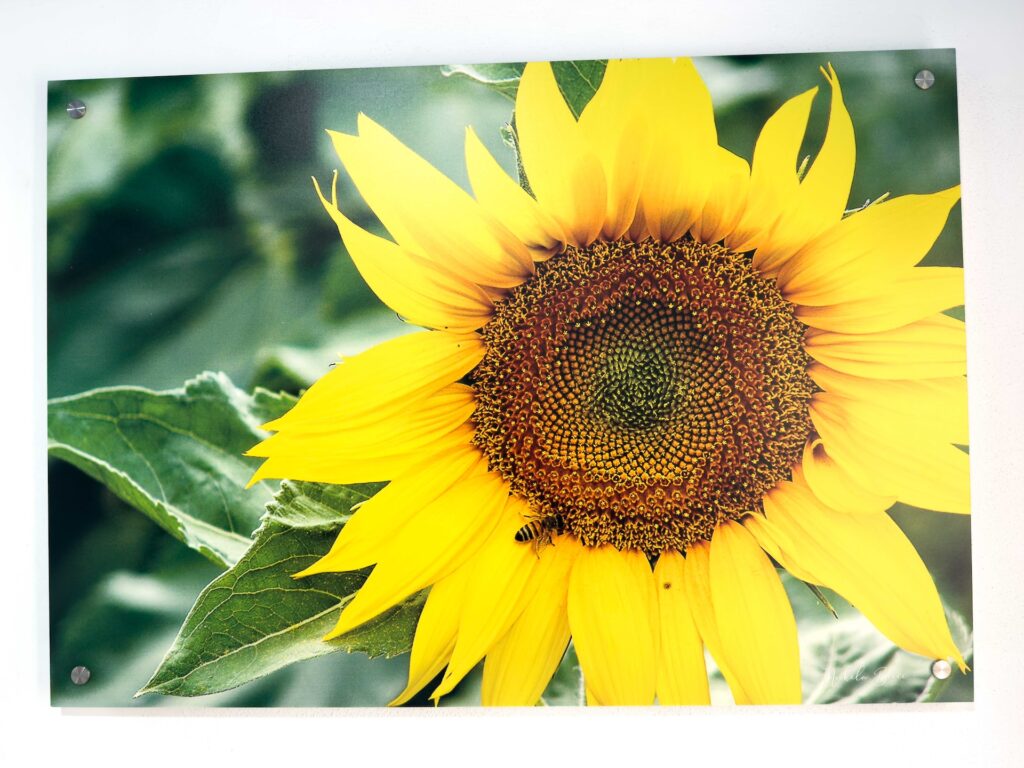 My Photos that Won the Photo Contest in Montalcino | OurItalianTable.substack.com