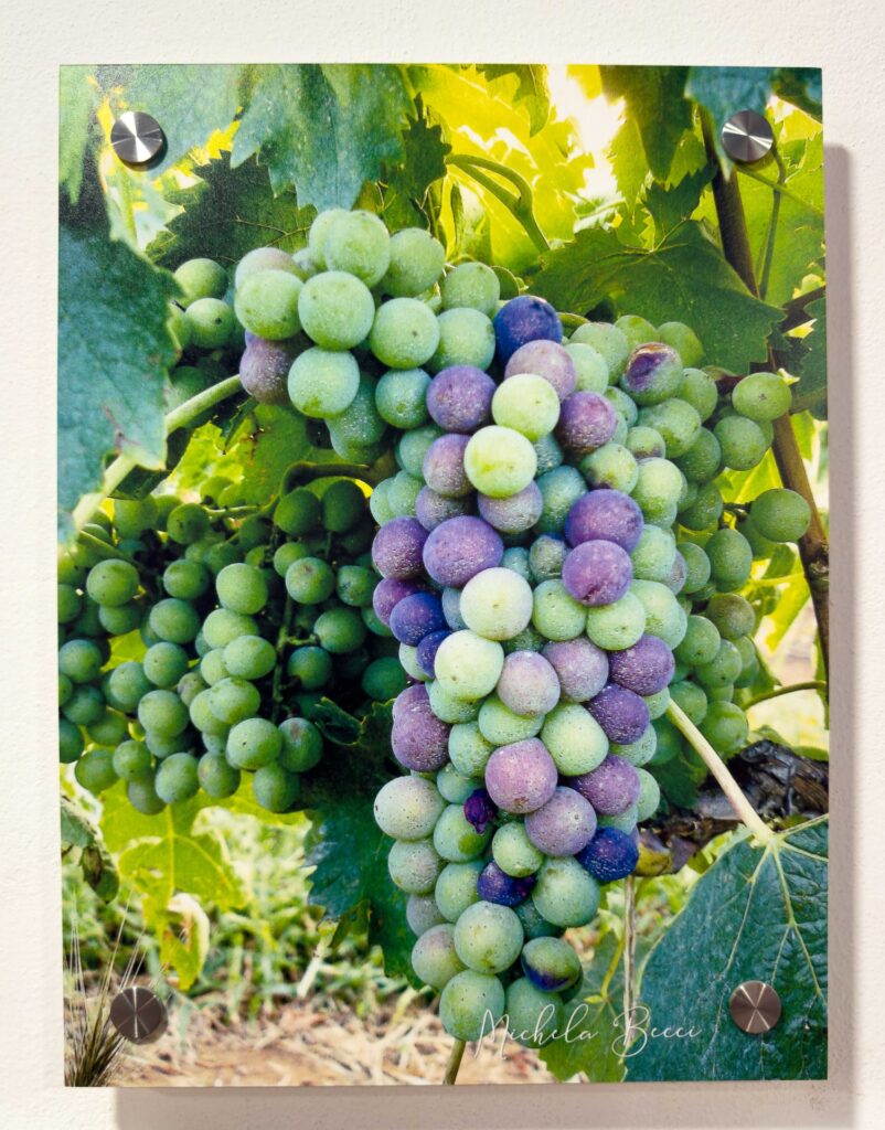 My Photos that Won the Photo Contest in Montalcino | OurItalianTable.substack.com